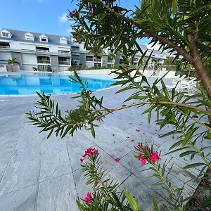 https://easy-flat-sxm-to-sbh.comcaribbean.com
